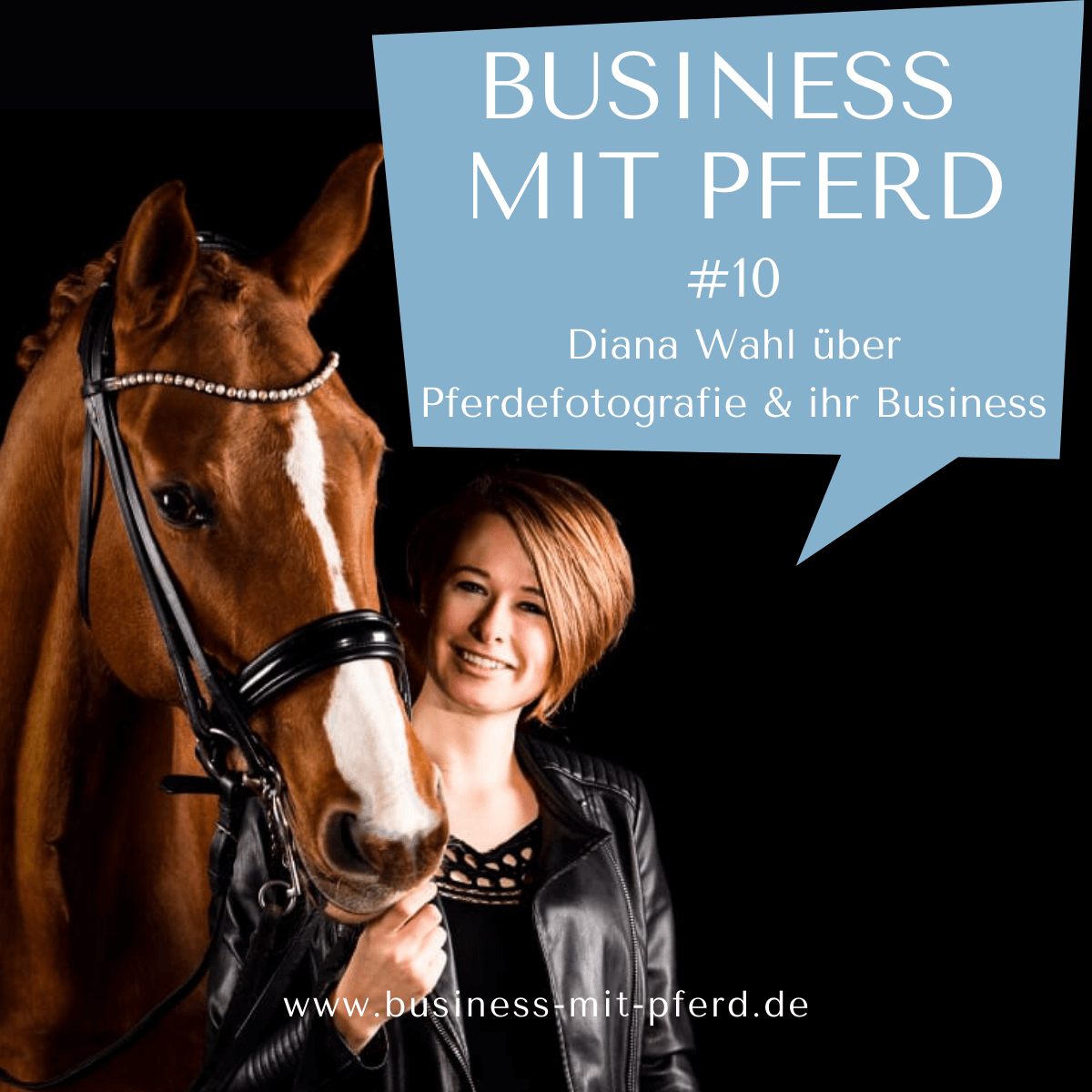 Professionelle Fotos fürs Pferdebusiness - Interview mit Diana Wahl
