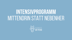 Intensivprogramm "MITTENDRIN statt NEBENHER"