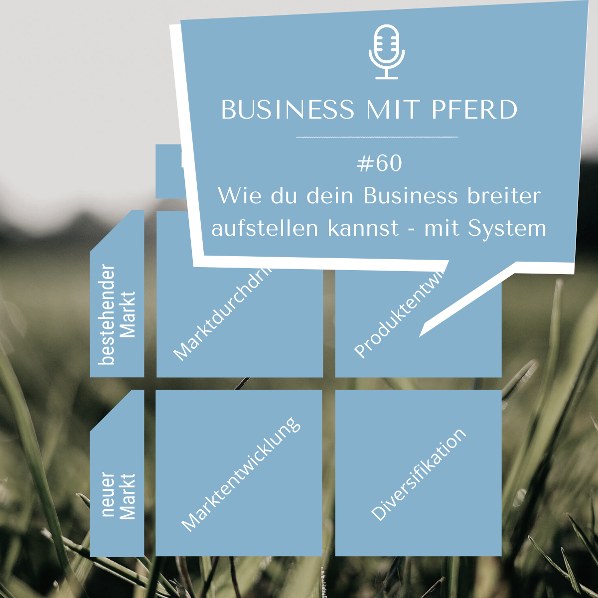 Wie du dein Business breiter aufstellen kannst – mit System