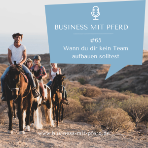 Blog & Podcast Podcastfolge #65 Wann du dir kein Team aufbauen solltest