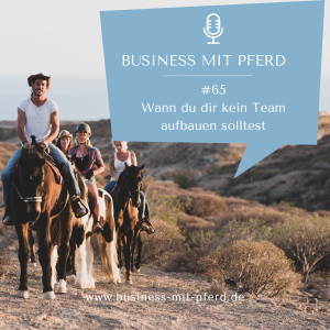 Podcastfolge #65 Wann du dir kein Team aufbauen solltest