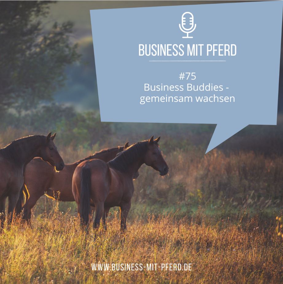 Podcast #75: Business Buddies - gemeinsam wachsen