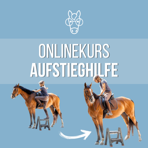 Onlinekurs AUFSTIEGHILFE