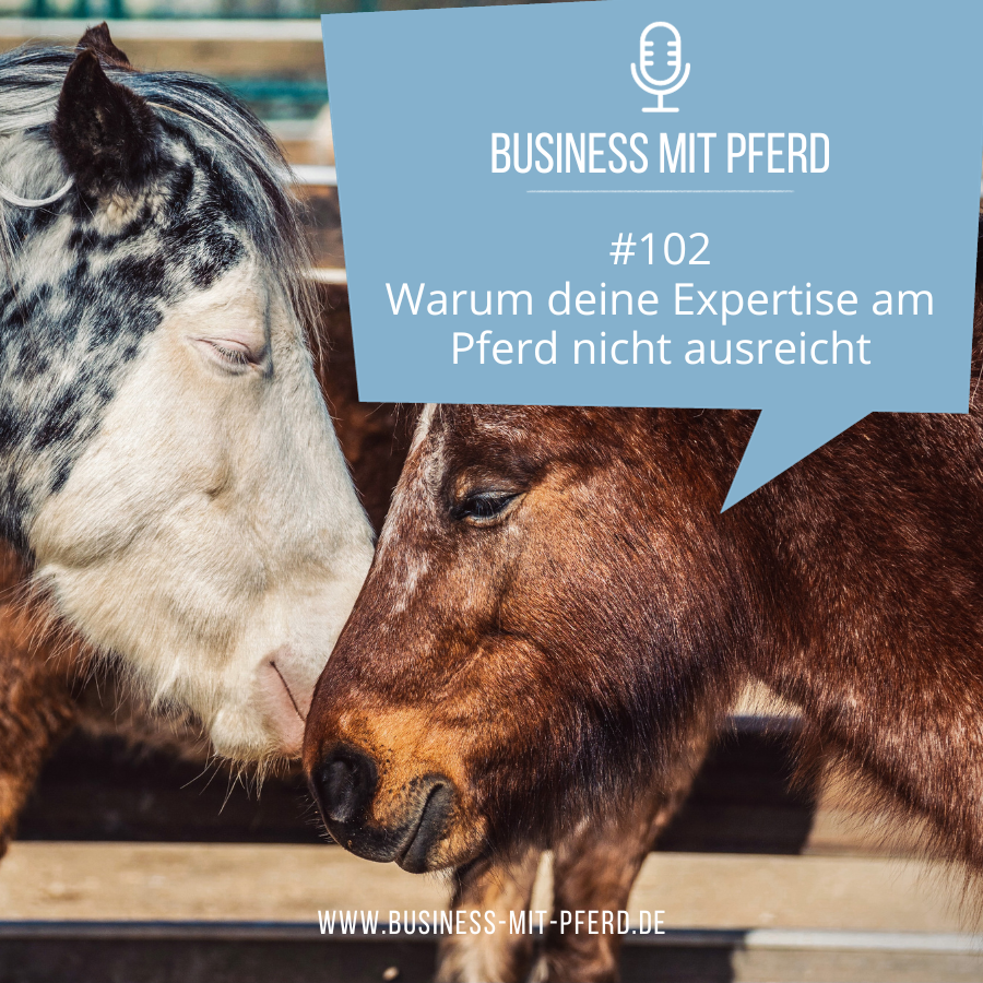 #102 Warum deine Expertise am Pferd nicht ausreicht