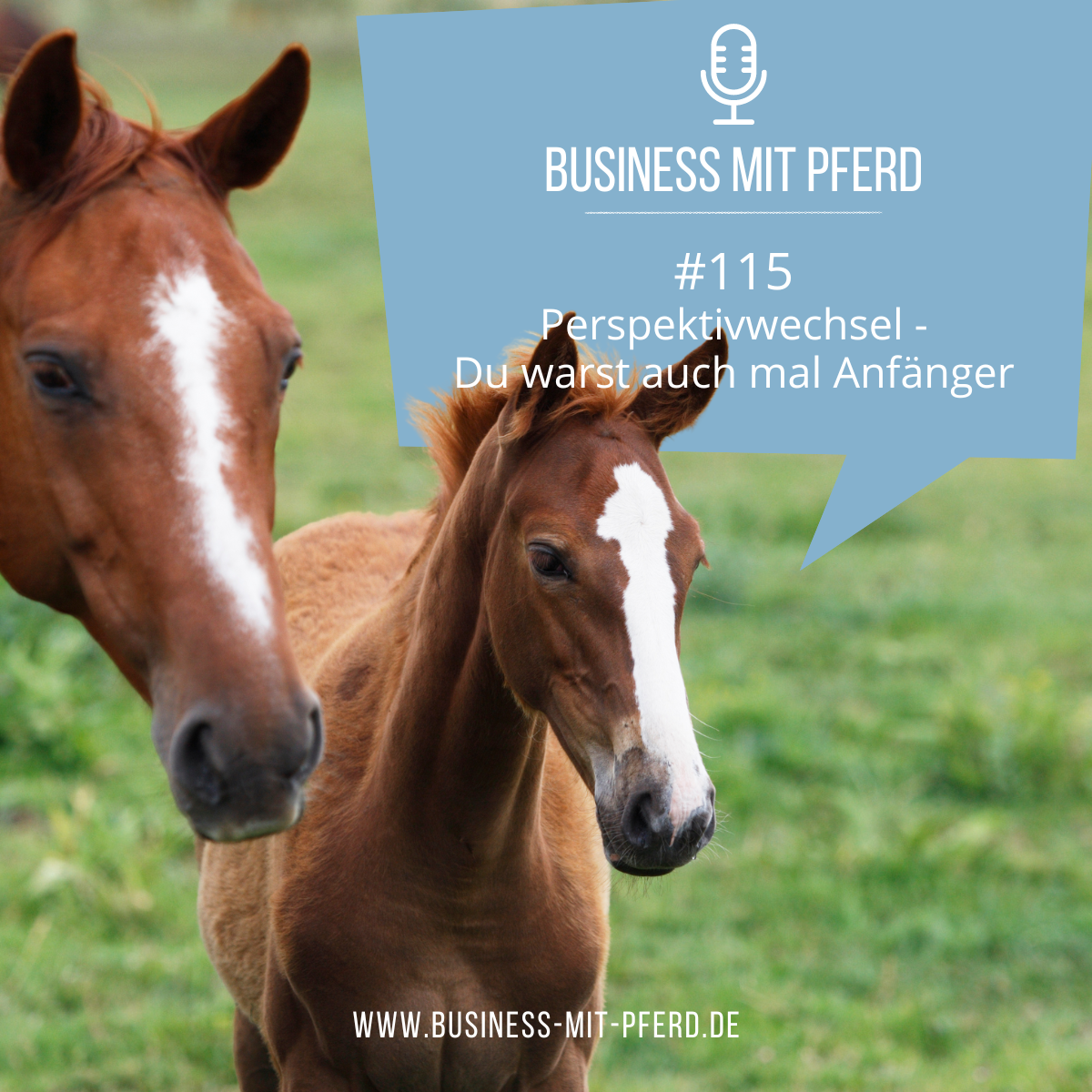 Profit First – Interview mit Finanzbloggerin Anne Fiedler