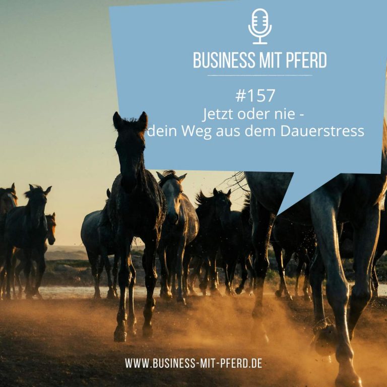 Links Podcast